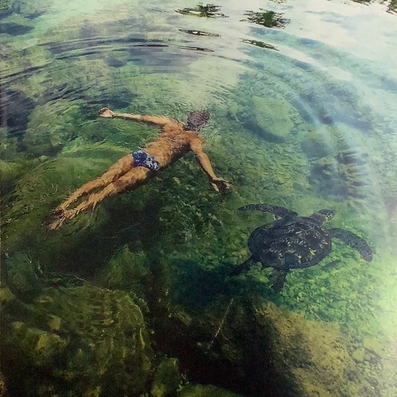 The Bucket List Wild Book By Kathryn Stathers Travel Nature Animals - Picture 8 of 16